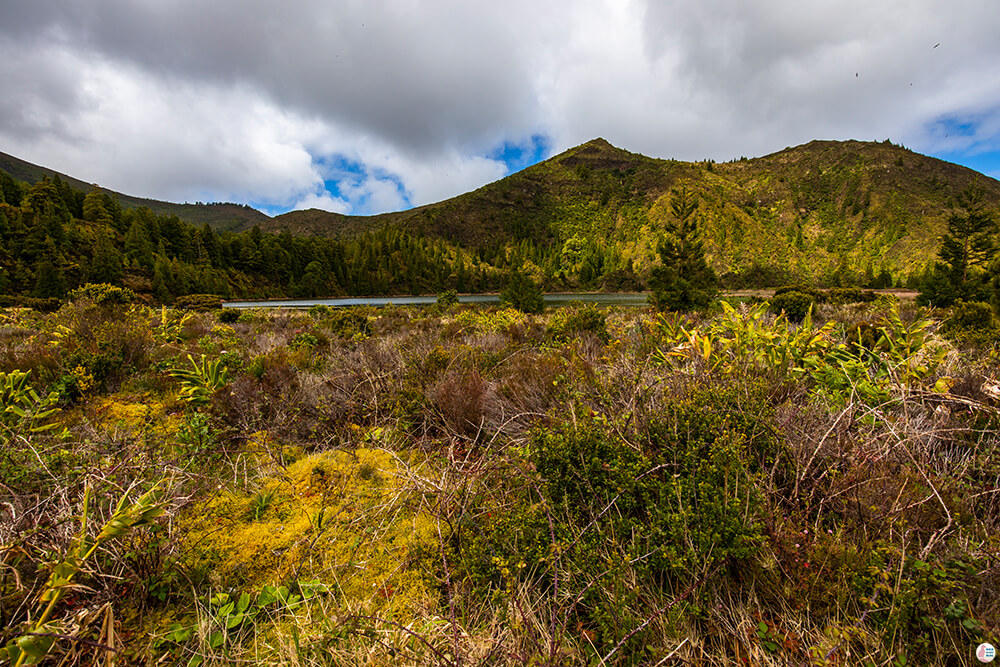 Inside Lagoa do Fogo's crater, São Miguel Island, Azores