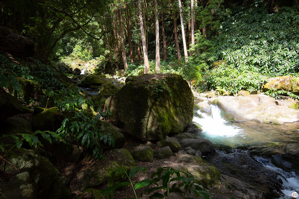 Faial Da Terra nature trail around Salo do Prego waterfall, São Miguel Island, Azores