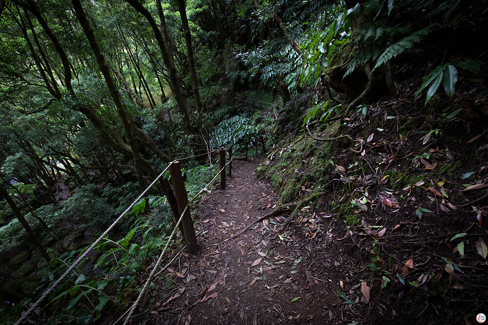 Faial Da Terra nature trail towards Salo do Prego waterfall, São Miguel Island, Azores