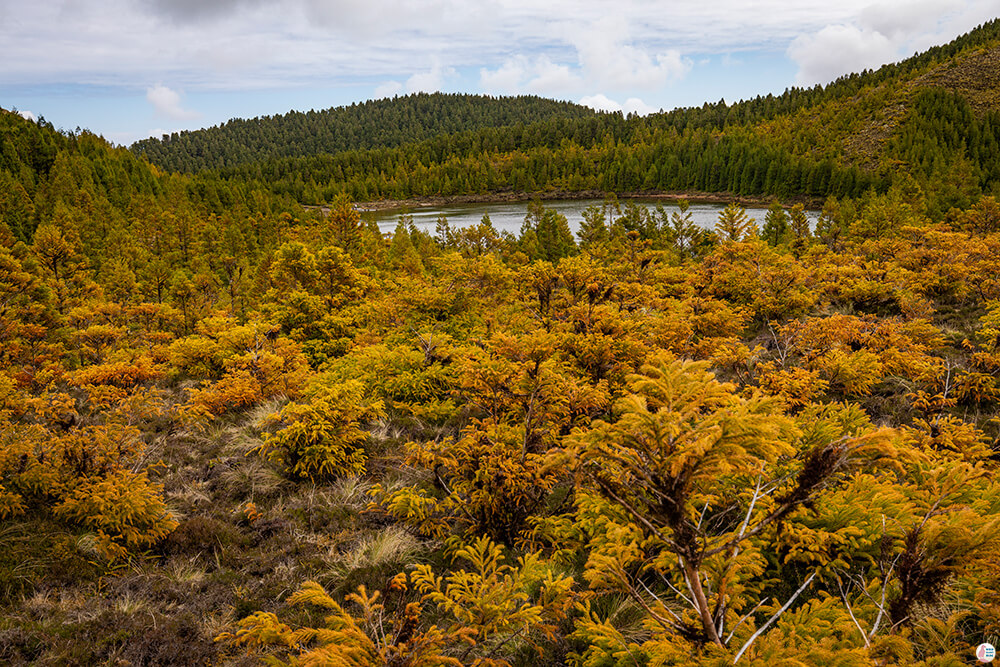 Lagoa Rasa, São Miguel Island, Azores