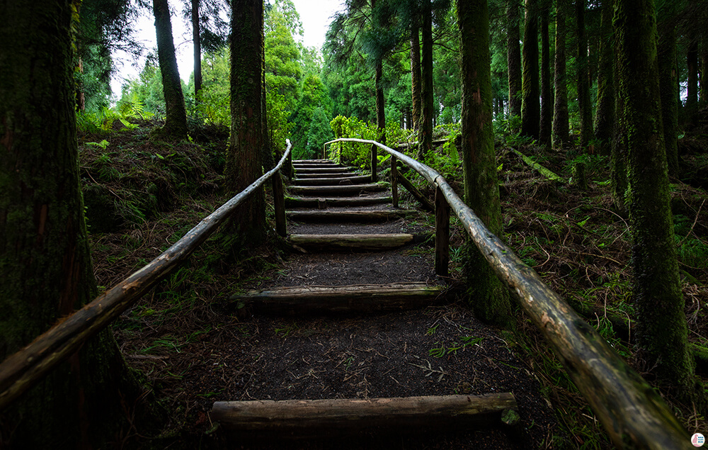 Stairs from Lagoa do Canário, São Miguel Island, Azores