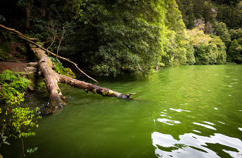 Lagoa do Congro (Congro Lagoon), São Miguel Island, Azores