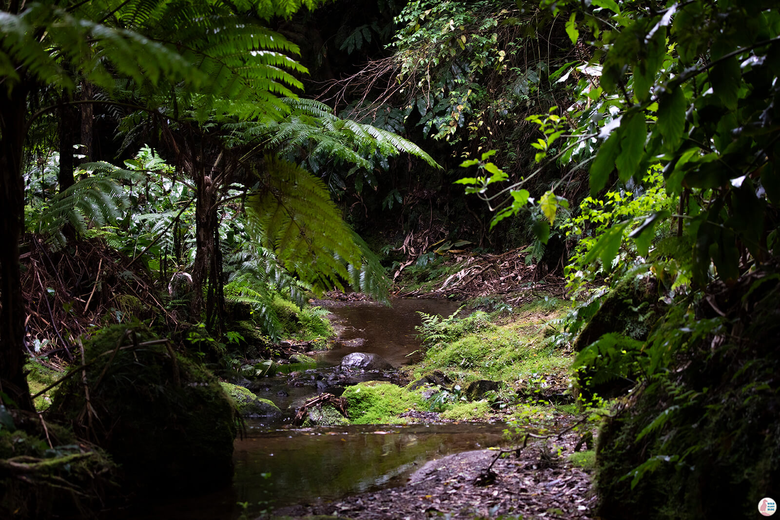 Salto do Prego, São Miguel Island, Azores