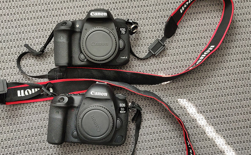 5D Mark IV on the left, 7D Mark II on the right, 1/500 sec, f/5.6, ISO 800