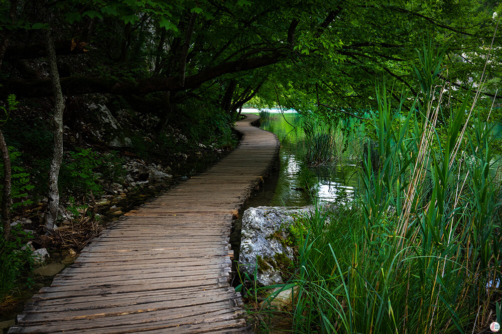 Walking plank in Plitvice National Park, Croatia