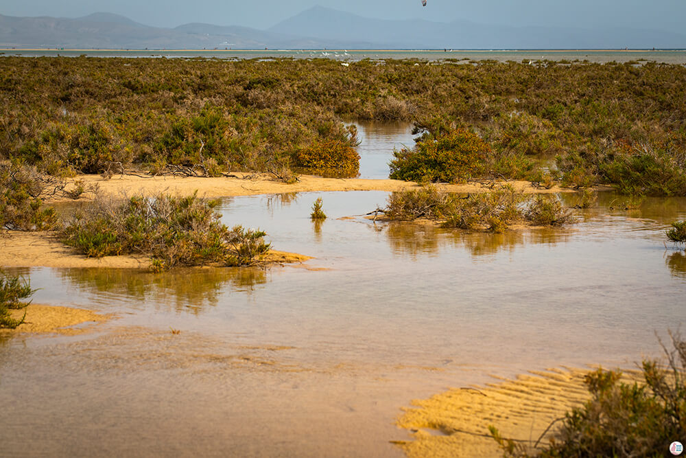 Sotavento Natural Reserve, Best Places to See and Photograph on Jandia Peninsula, Fuerteventura