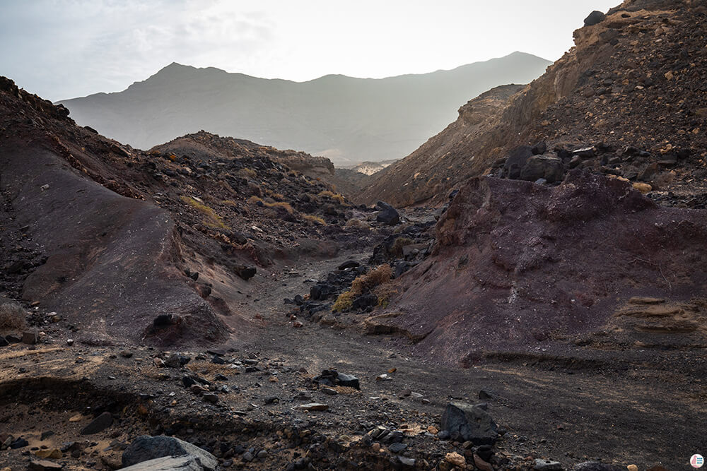 Path to Roque Del Moro, Fuerteventura