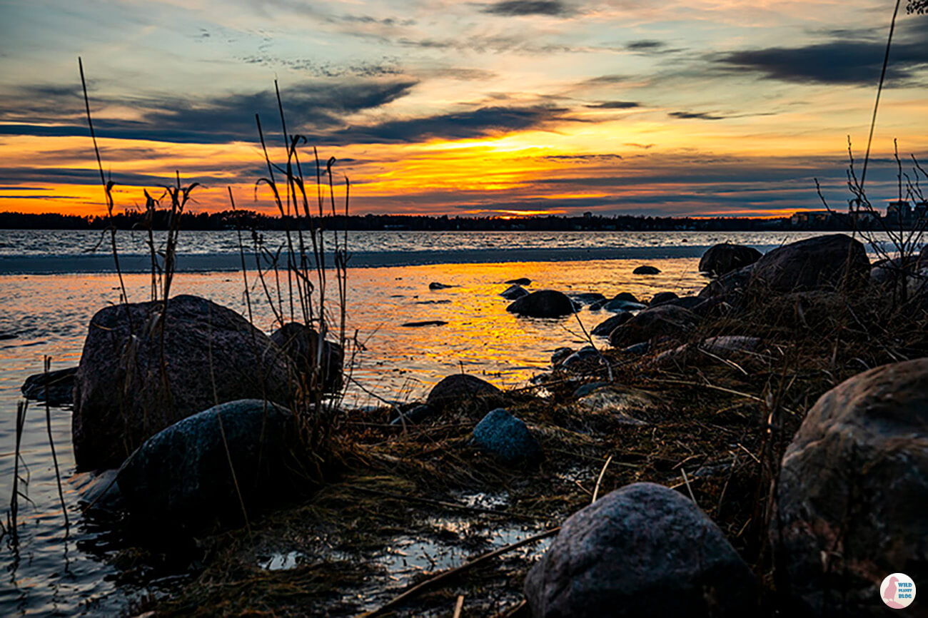 Sunset at Hanasaari, Espoo, Finland