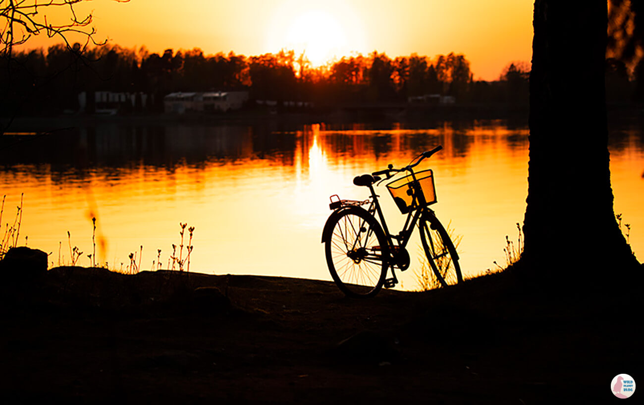 Sunset in Seurasaari, Helsinki