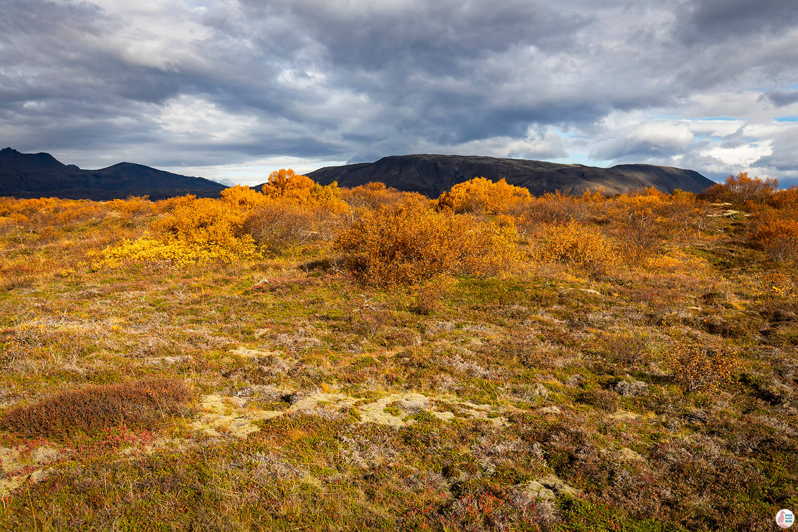Thingvellir National Park, Golden Circle, Iceland
