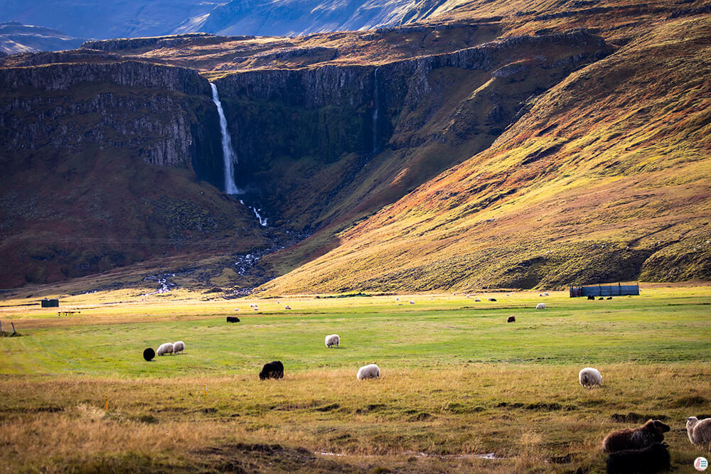  Grundarfoss, Snaefellsnes, West Iceland