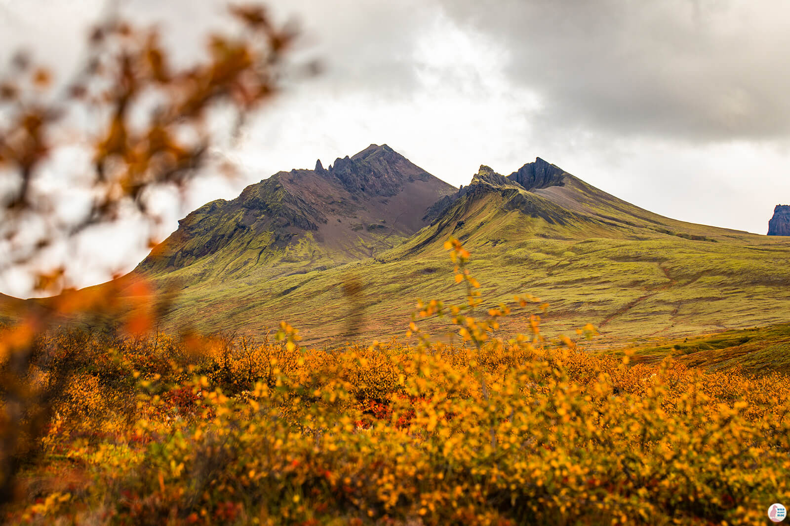 Skaftafell Nature Reserve, Vatnajökull National Park, South Iceland
