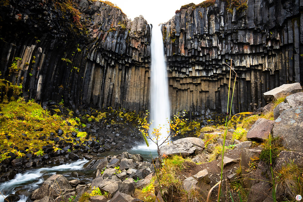 Svartifoss, Skaftafells Nature Reserve, Vatnajökull National Park, South Iceland