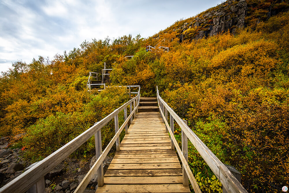 Bridge over Svartifoss river, Skaftafells Nature Reserve, Vatnajökull National Park, South Iceland