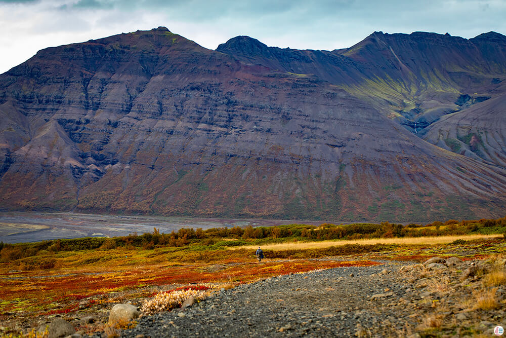 Hiking in Skaftafells Nature Reserve, Vatnajökull National Park, South Iceland