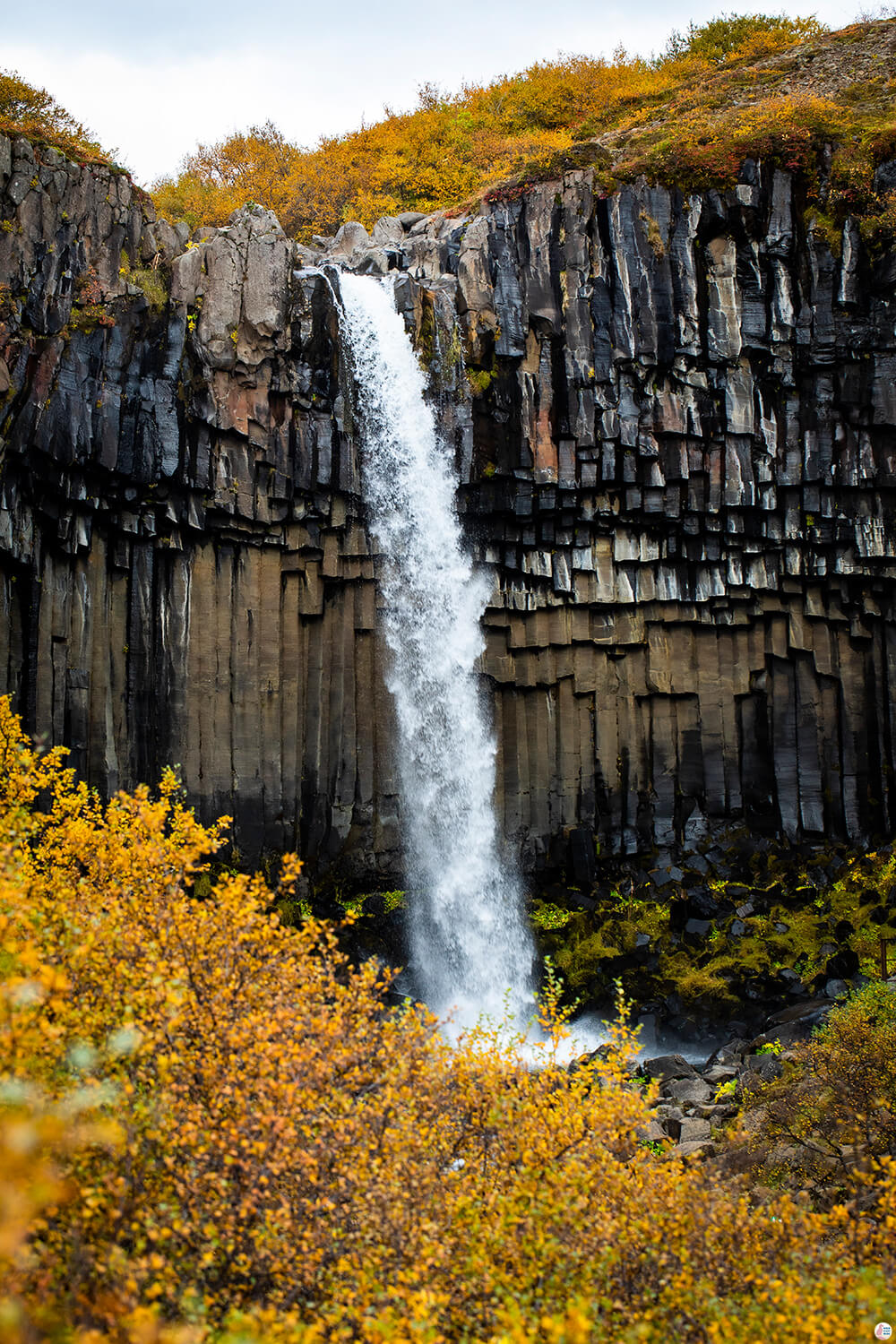 Svartifoss, Vatnajökull National Park, Iceland