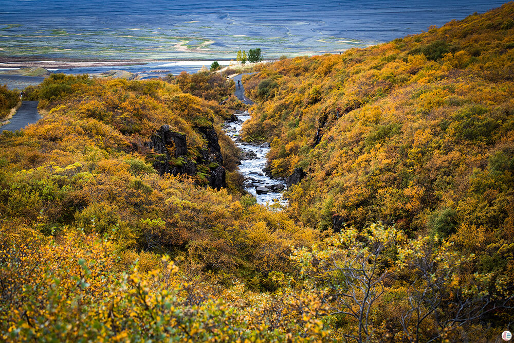 Hiking in Skaftafells Nature Reserve, Vatnajökull National Park, South Iceland