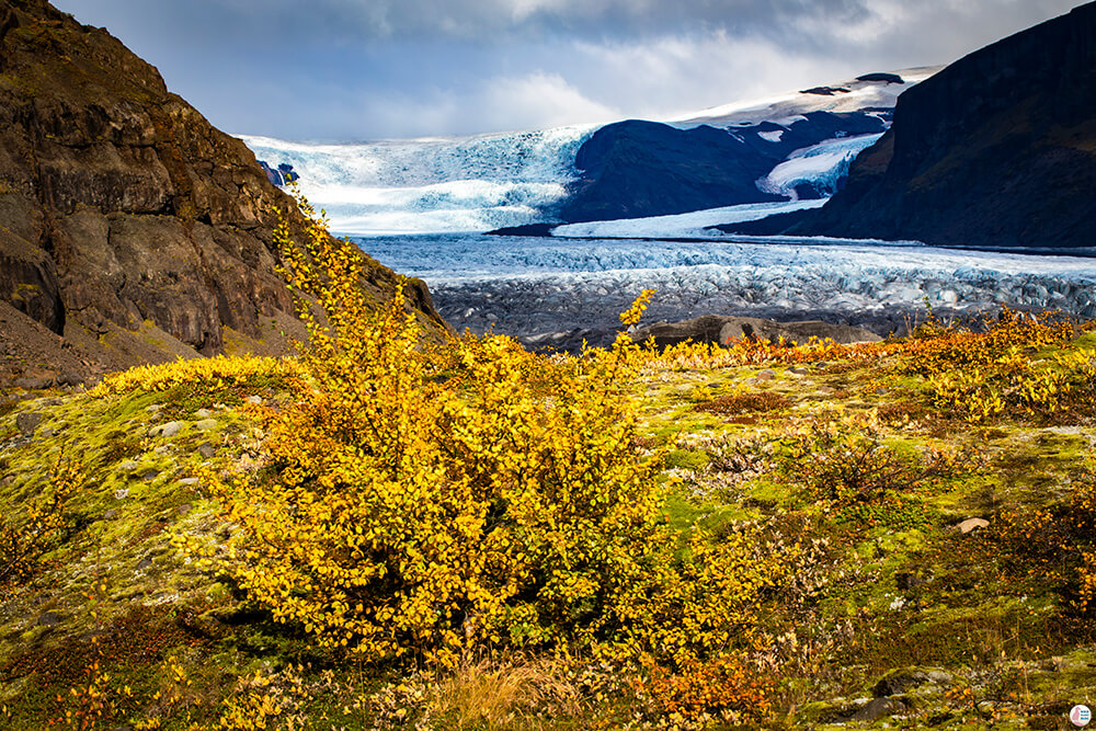 Skaftafellsjökull Glacier, Vatnajökull National Park, South Iceland