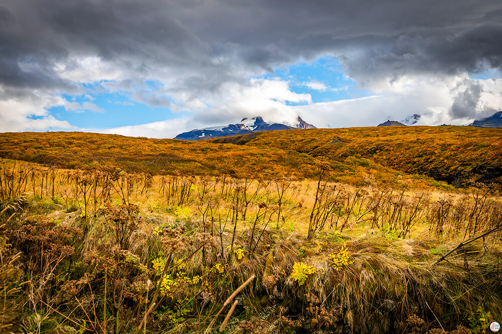 Hiking in Skaftafells Nature Reserve, Vatnajökull National Park, South Iceland