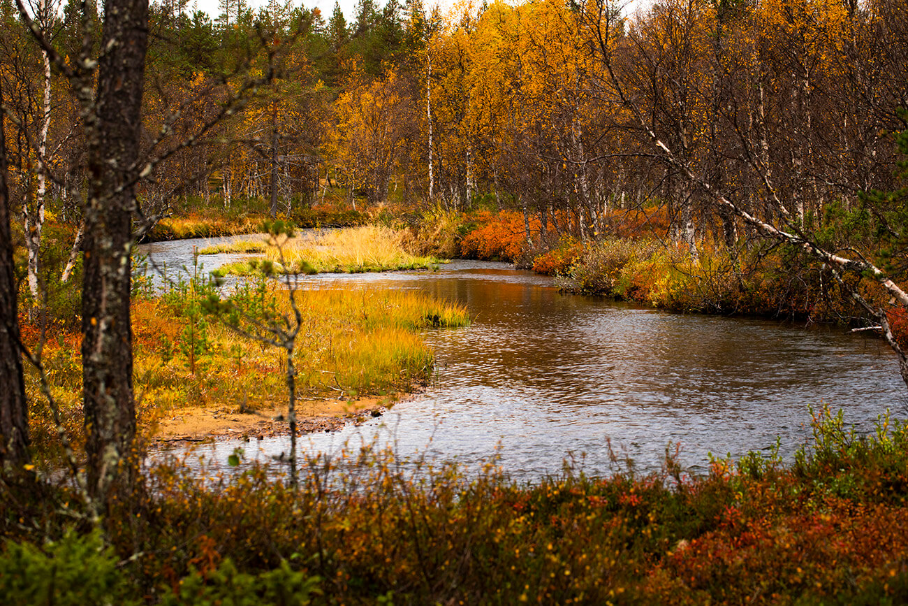 Wildest Places in Europe, Urho-Kekkonen National Park, Finland