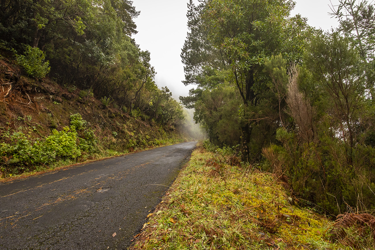 Path that leads to Pico Ruivo, Madeira