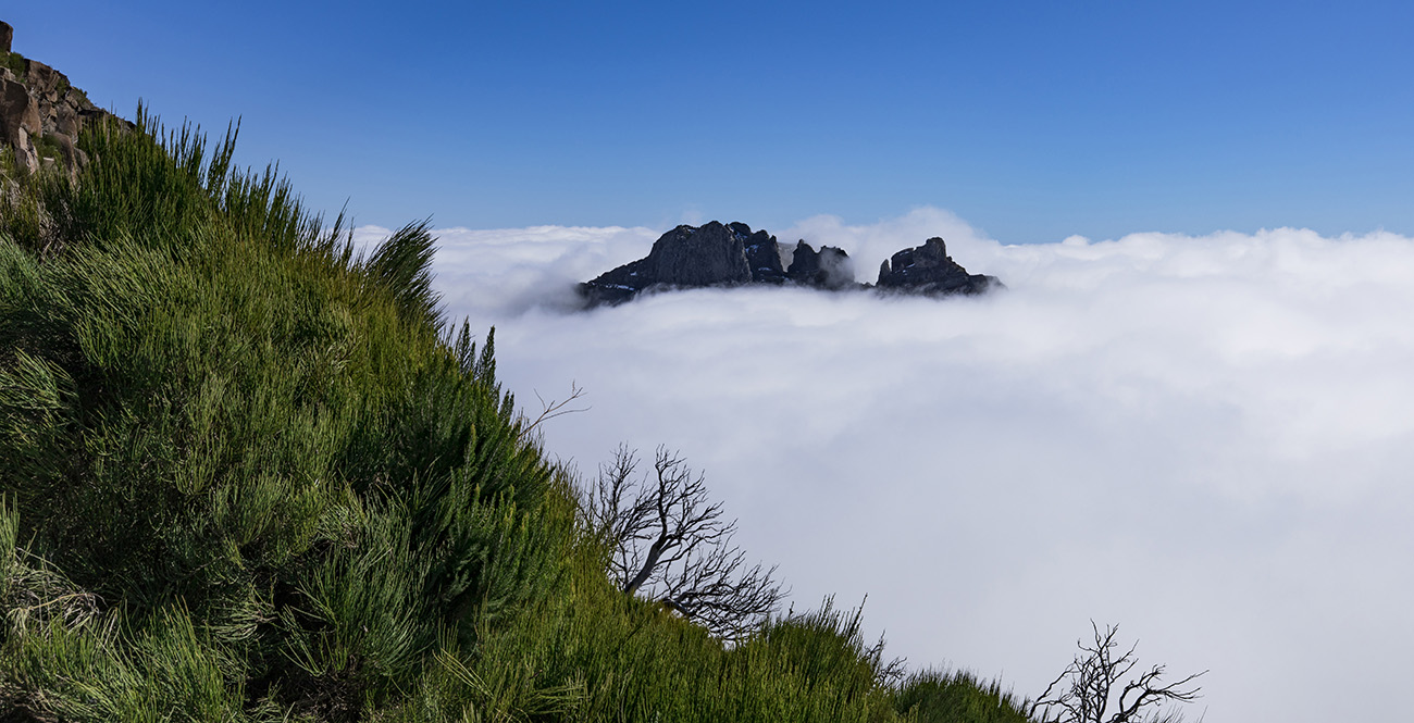 View from Pico Ruivo, Madeira
