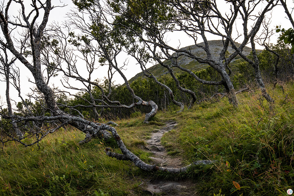 Måtinden hiking trail start, Andøya, Northern Norway