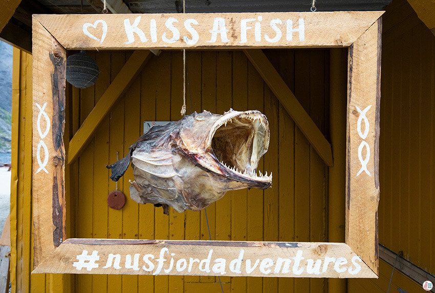 Kiss a fish in Nusfjord fishing village, Lofoten, Northern Norway