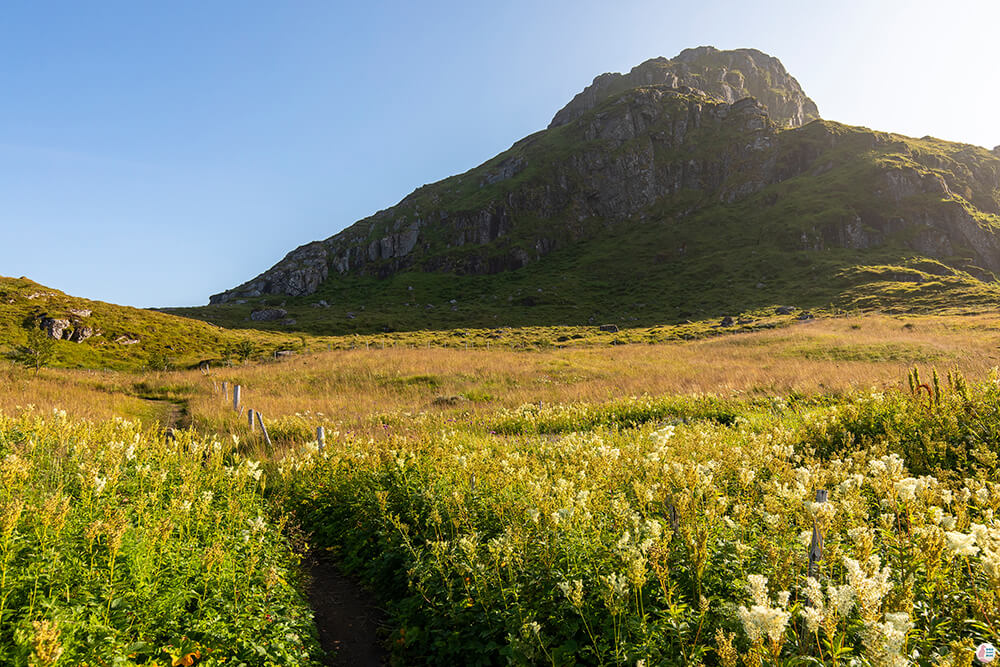 Ryten hiking trail start, Moskenesøya, Lofoten, Norway