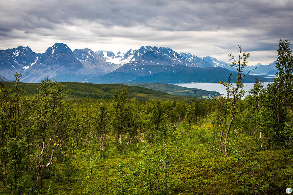 View from Barheia hiking trail, Lyngen Alps, Northern Norway