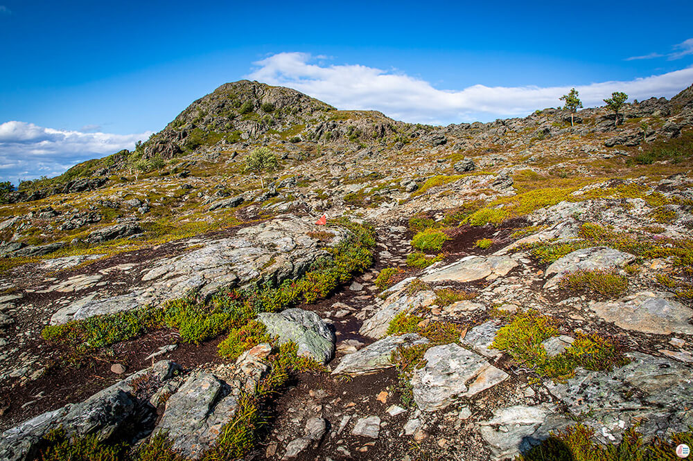 Lyngstuva hiking trail, Lyngen Alps, Northern Norway