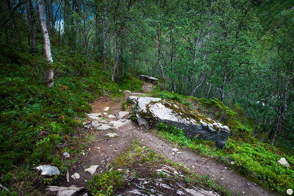 Moderate hike along the Steindalsbreen Glacier hiking trail, Lyngen Alps, Northern Norway