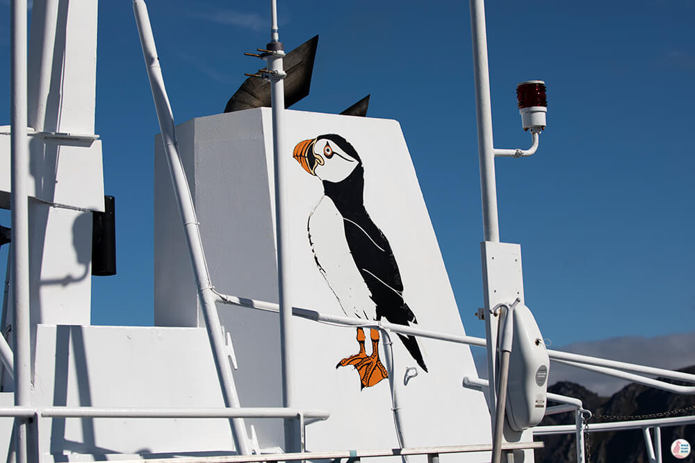 Bird Safari Boat in Gjesvær, Nordkapp, Northern Norway