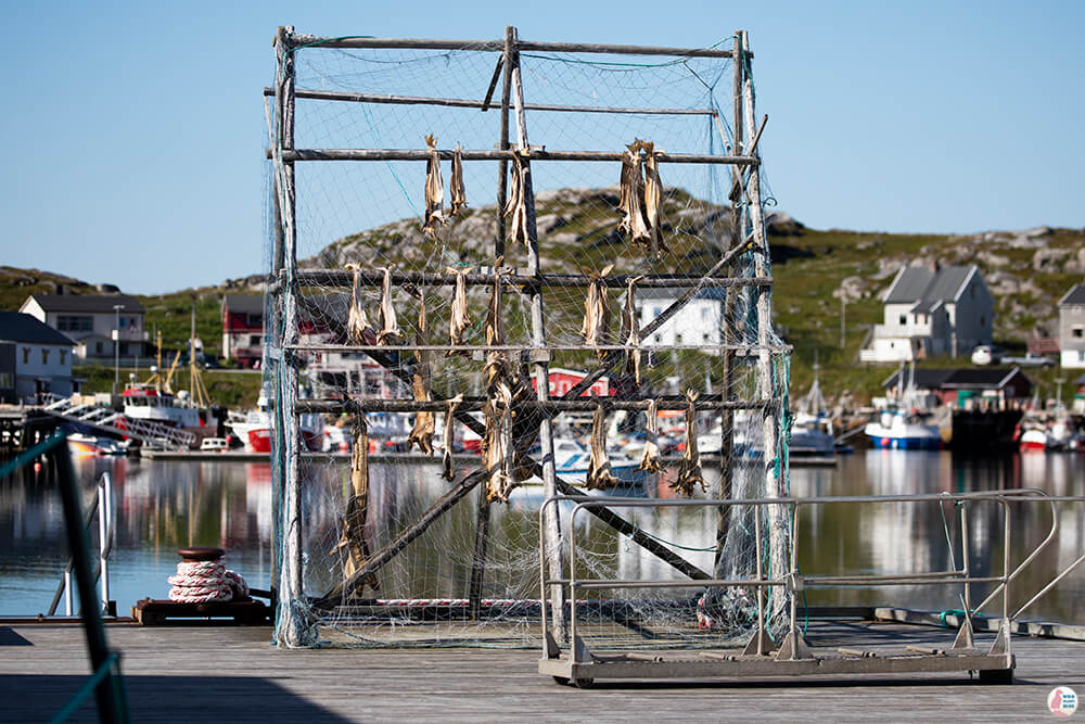 Stock fish wooden racks at Gjesvær harbour, Nordkapp, Northern Norway