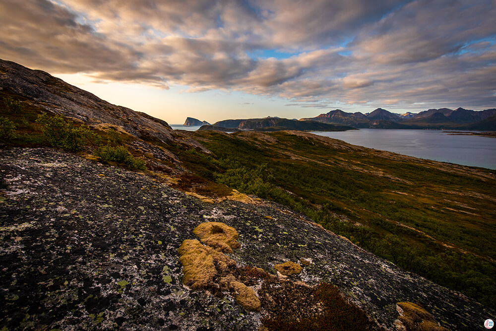 View from Ørnfløya hiking trail, Troms, Northern Norway