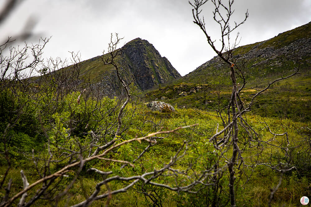 Husfjellet in the distance, picture taken from Sommardalen, 327 m height, Senja, Northern Norway