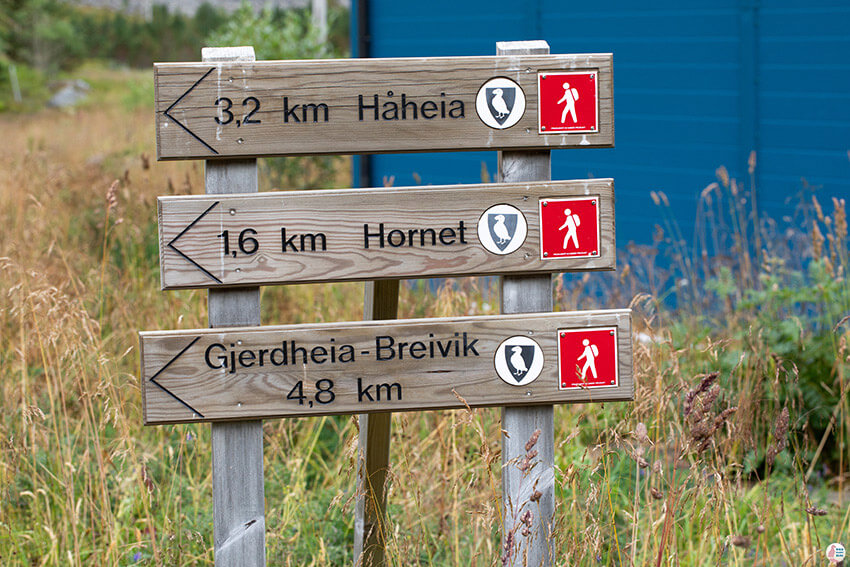 Hiking trails around Værøy, Lofoten, Norway