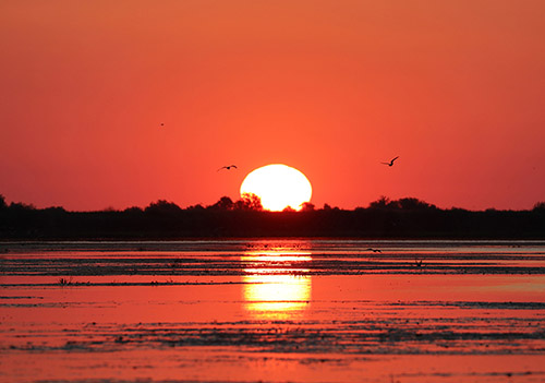 Wildest places in Europe, Sunrise in Danube Delta, Romania