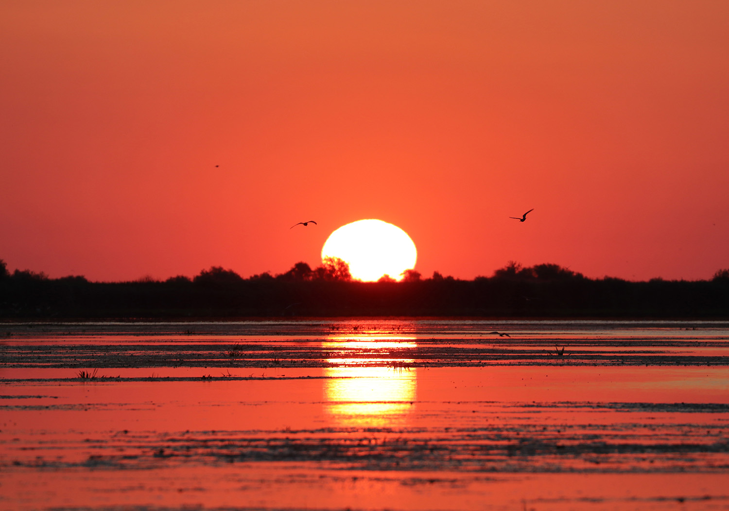 Beautiful sunrise in Danube Delta, Romania