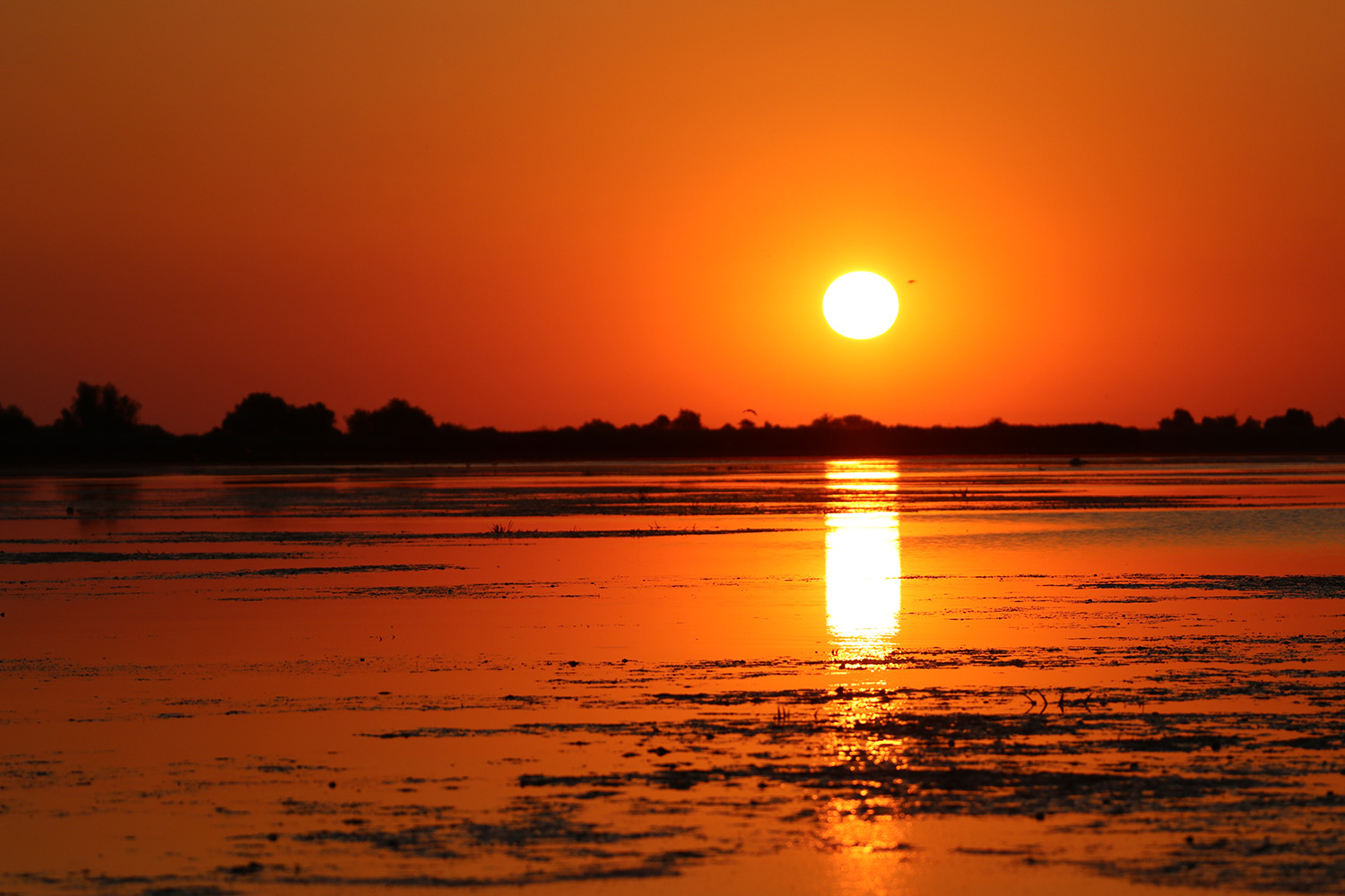 Beautiful sunrise in Danube Delta, Romania