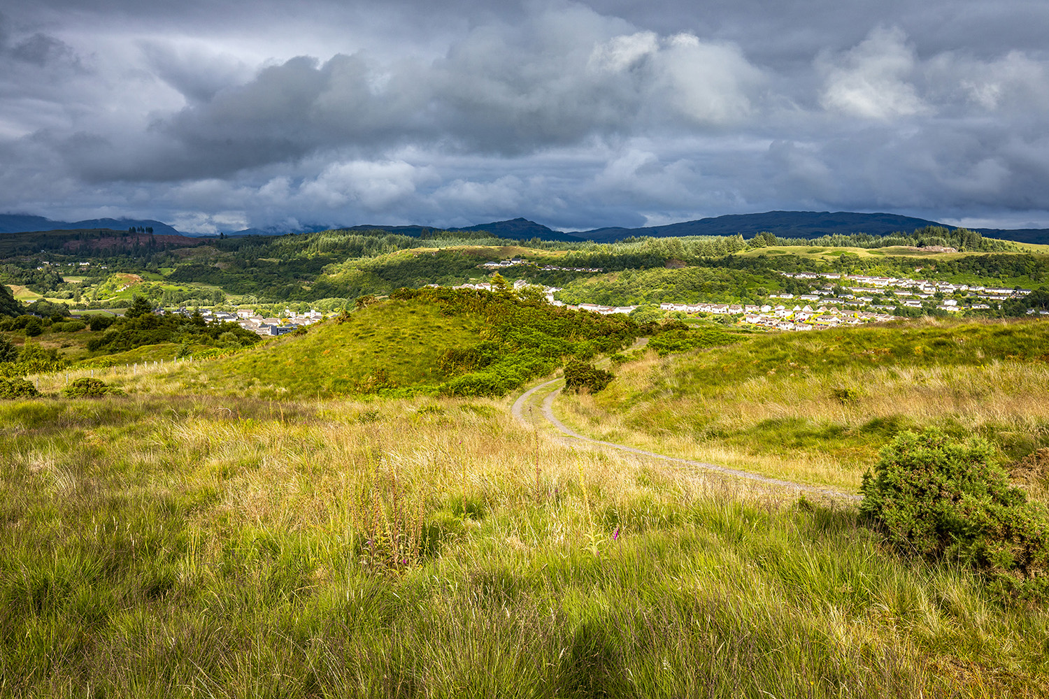 Golden Hills above Oban, Scotland