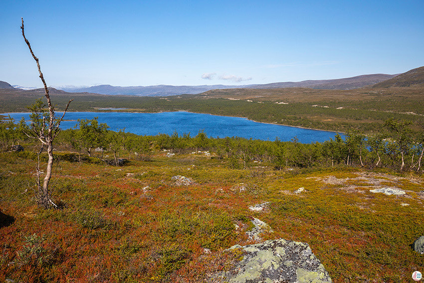 View towards Sillasjärvi, from Malla hiking trail, Kilpisjärvi, Enintekiö, Lapland, Finland