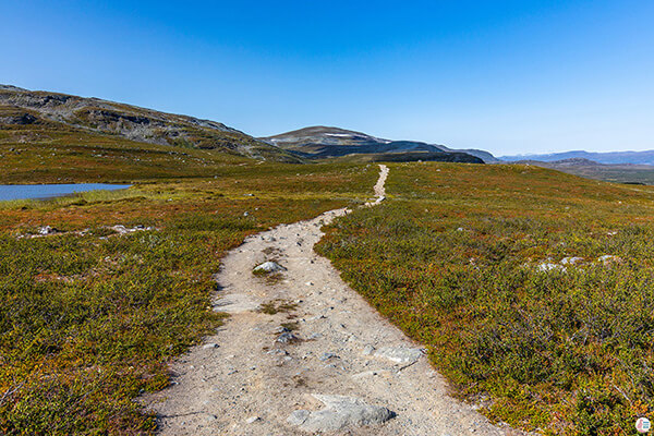 Malla Nature Reserve Hiking Trail, Kilpisjärvi, Enontekiö, Lapland, Finland