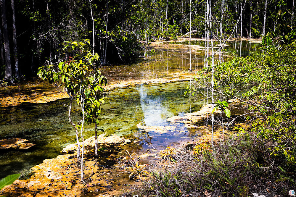 The beautiful path towards the Emerald Pool, Krabi, Thailand