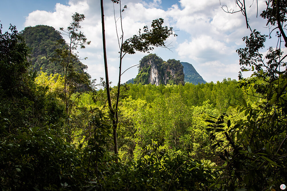 Phi Hua To Cave Viewpoint, Than Bok Khorani National Park, Krabi, Thailand