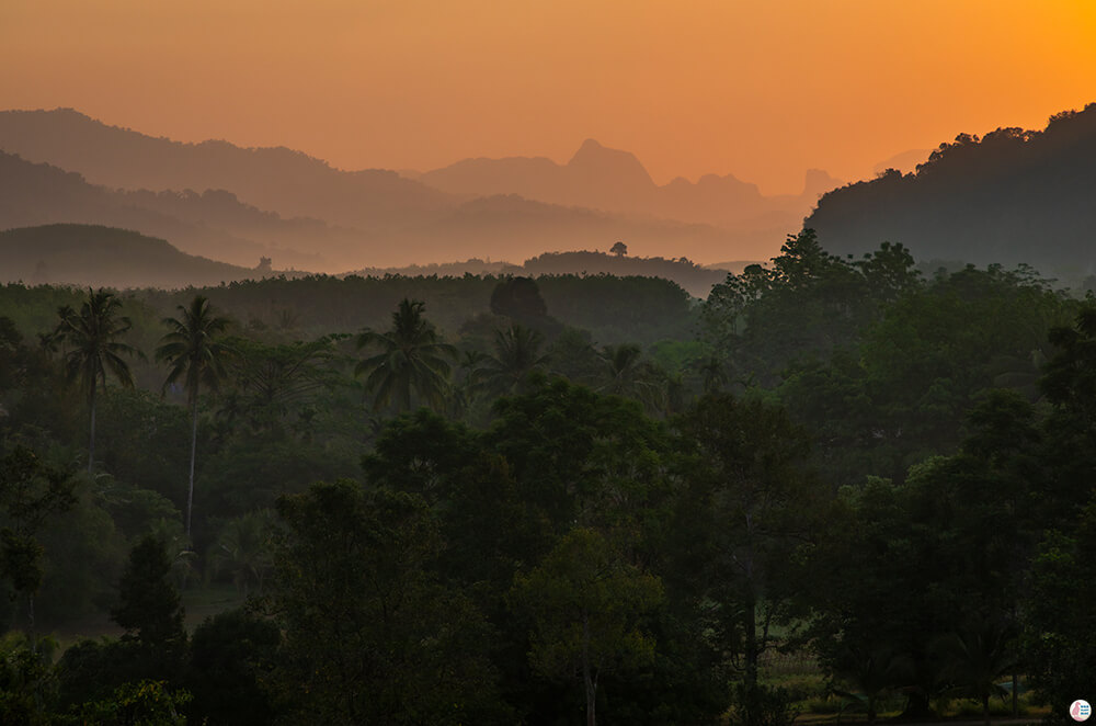 500 RAI Farmhouse, Khao Sok National Park, Surat Thani, Thailand