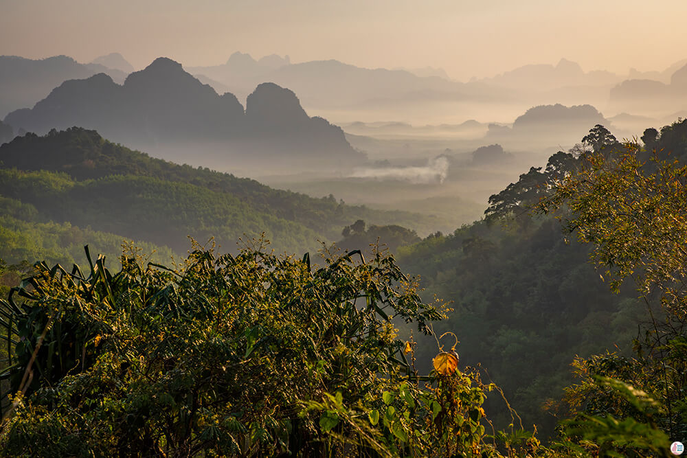 Jungle Viewpoint in Khao Sok National Park, Surat Thani, Thailand