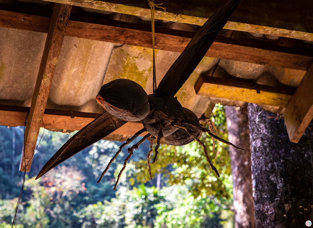 Bang Hua Rat, Khao Sok National Park, Surat Thani, Thailand