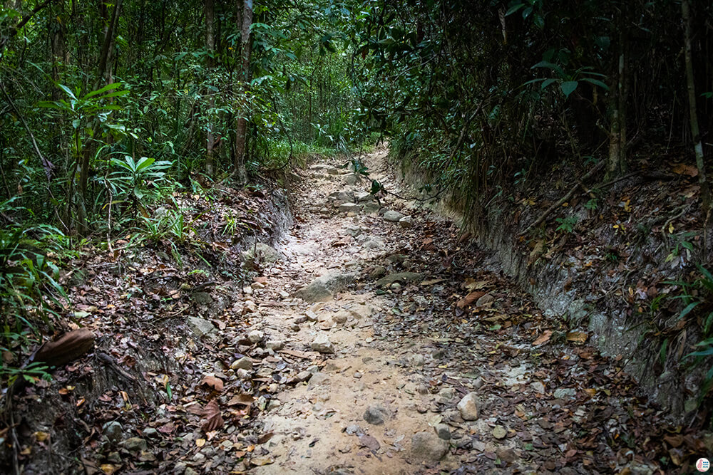 Khao Ngon Nak Hiking Trail (aka Dragon Crest), Krabi, Thailand