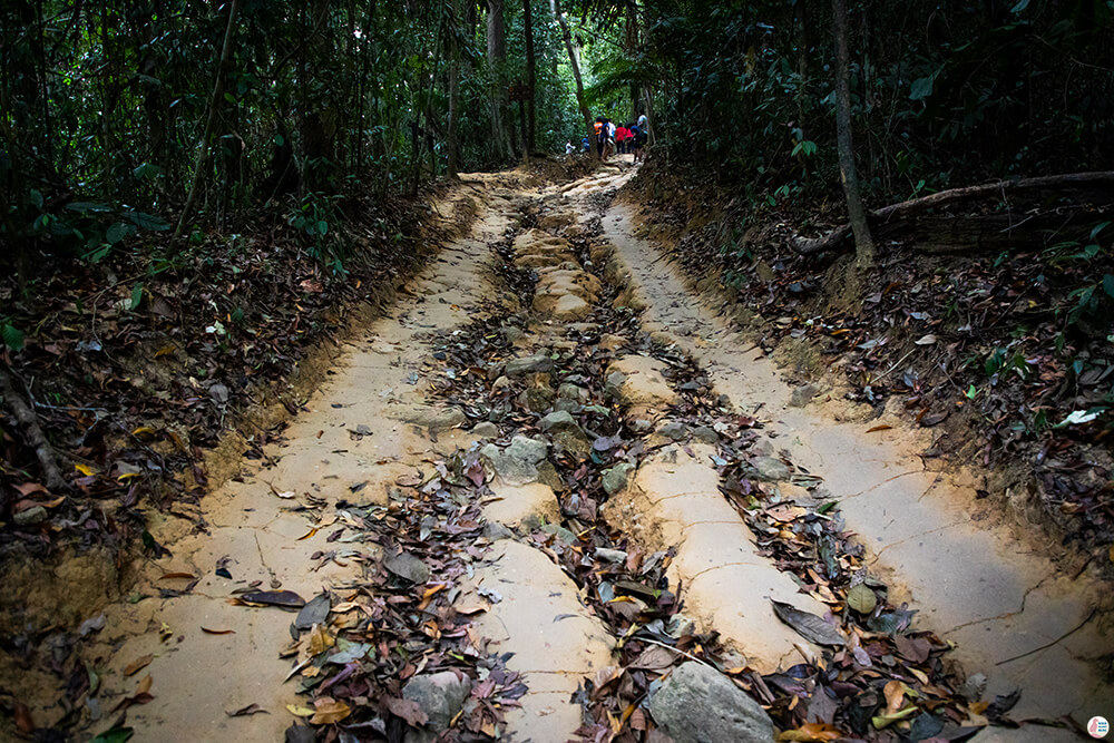 Khao Ngon Nak Hiking Trail (aka Dragon Crest), Krabi, Thailand